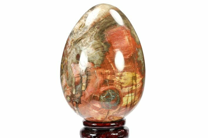 Colorful, Polished Petrified Wood Egg - Triassic #133924